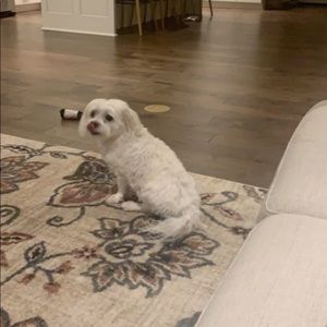 Meet your Posher, Manasa